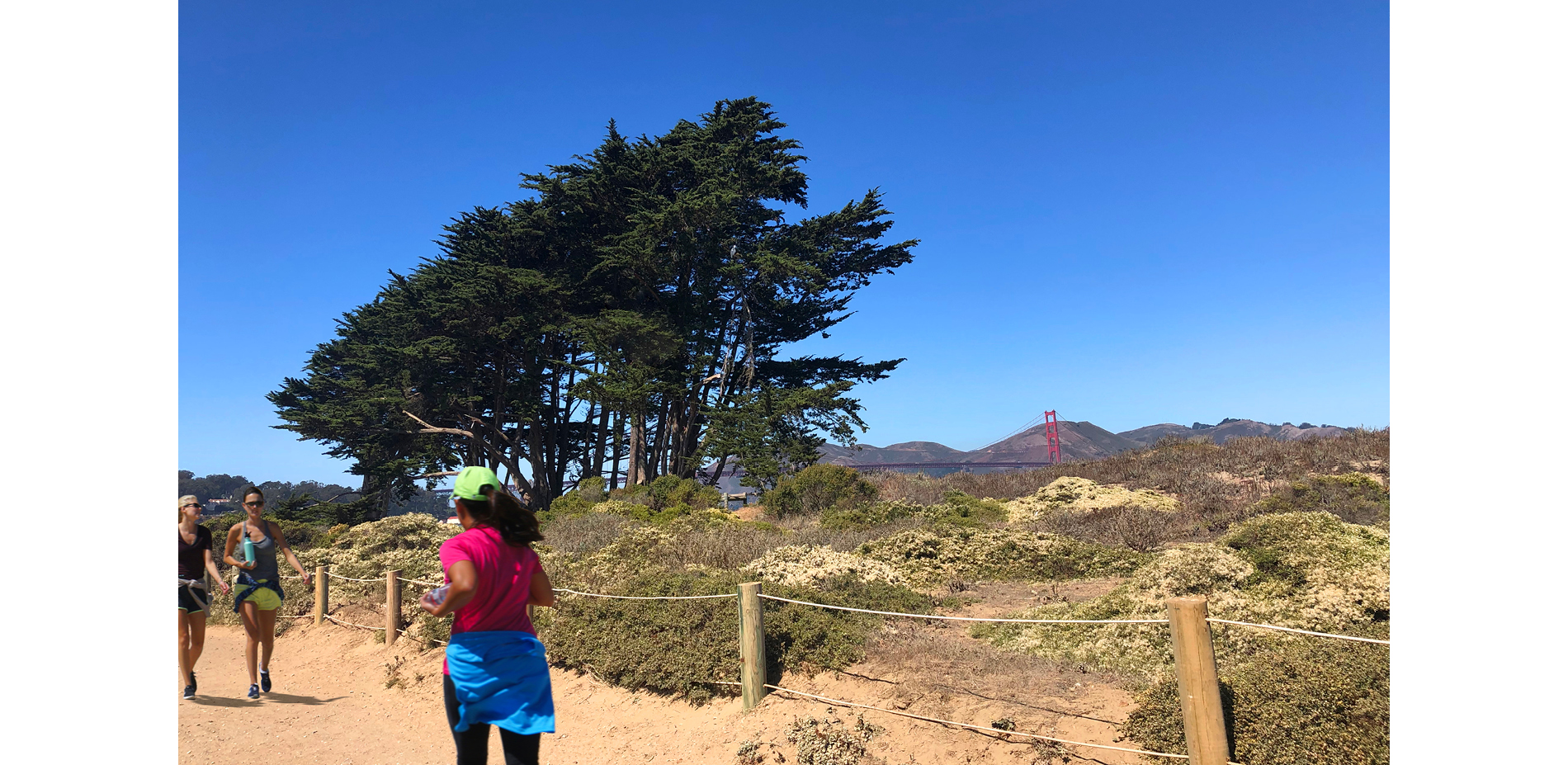 Promenade along the coastal dune habitat.